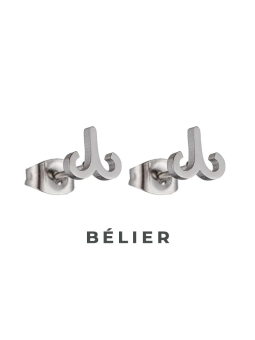 Boucles d'Oreilles Astrologiques en Acier Inoxydable - 8mm