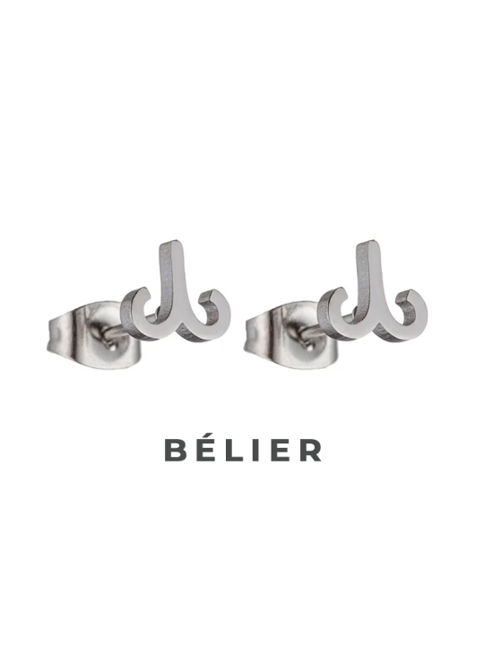 Boucles d'Oreilles Astrologiques en Acier Inoxydable - 8mm