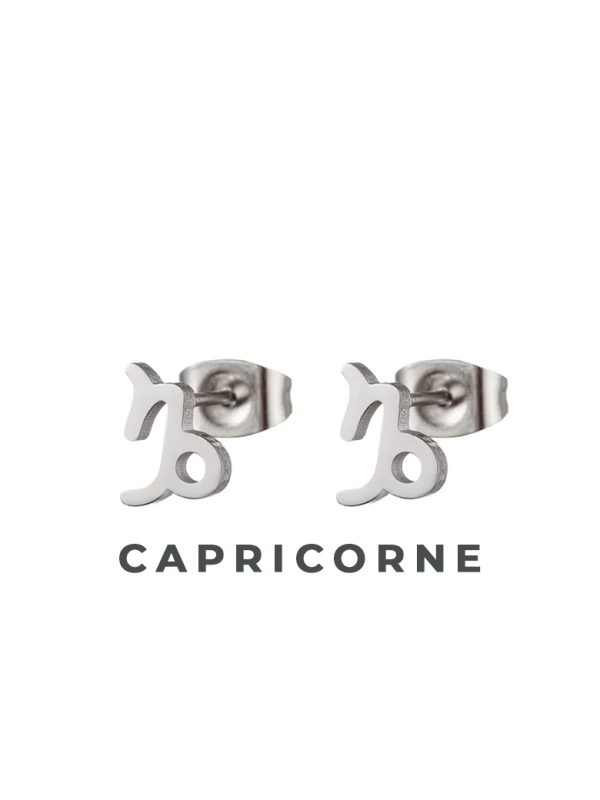 Boucles d'Oreilles Astrologiques en Acier Inoxydable - 8mm