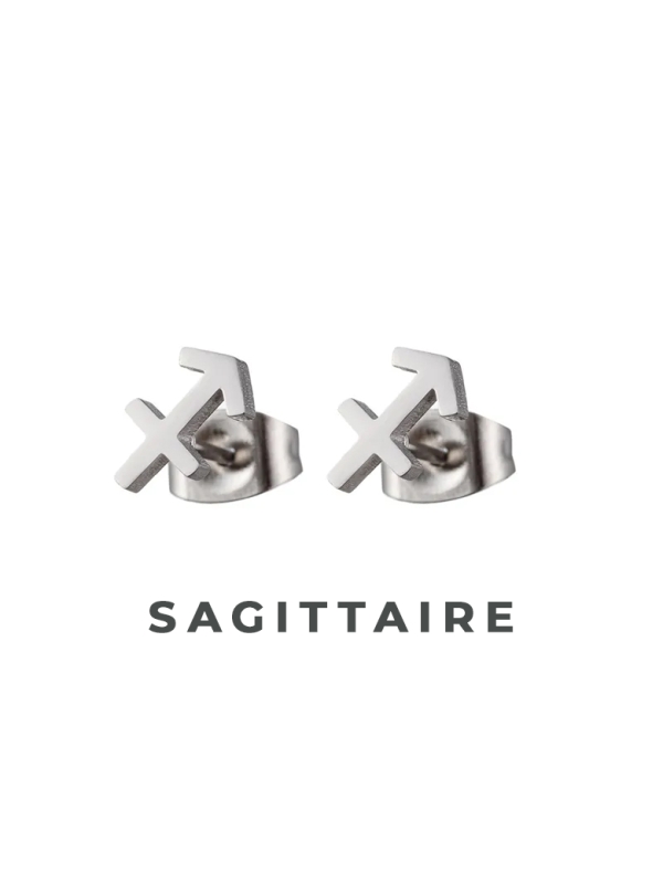Boucles d'Oreilles Astrologiques en Acier Inoxydable - 8mm