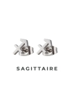 Boucles d'Oreilles Astrologiques en Acier Inoxydable - 8mm
