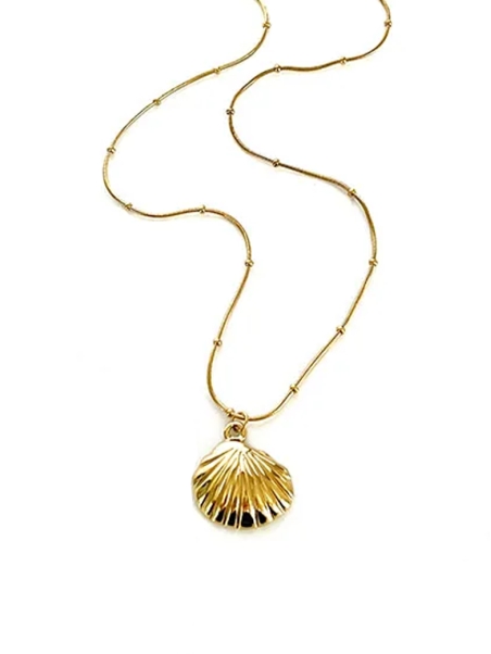 Collier Coquillage Doré – Élégance Naturelle & Intemporelle