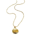 Collier Coquillage Doré – Élégance Naturelle & Intemporelle